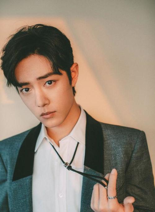 爱豆娱乐吃瓜酱肖战